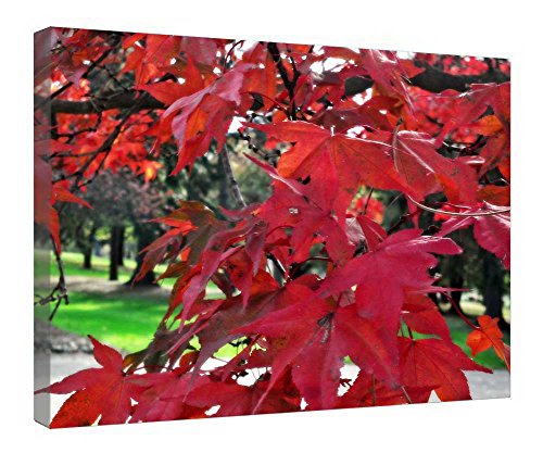 Impression sur toile rouge automnal supérieure et cadre en bois stable 40x50cm
