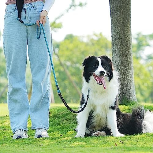 Ntr Heavy Duty Dog Leash, 15Ft Dog Lead With Upgrade Swivel Lockable Hook & Ergonomic Padded Handle, Reflective Bungee Blue Training Lead For Walking, Hunting, Camping For Small Medium Large Dog #TOP6