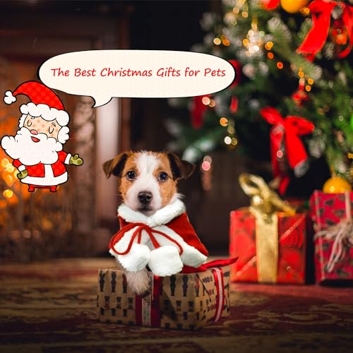 Hund Weihnachtskostüm, Haustier Weihnachtskostüm, Hund Weihnachtskostüm für Hunde Katzen, Weihnachtskleid, Hundekleidung rot, für Kleine Hunde Katzen Haustier