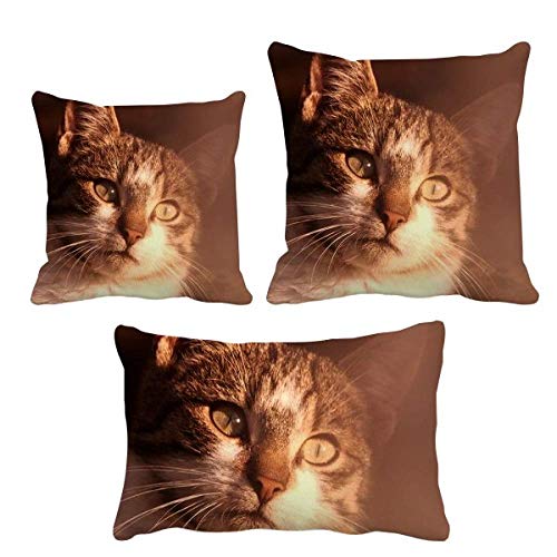 Housse de coussin chat DIYthinker décoration salon et canapé