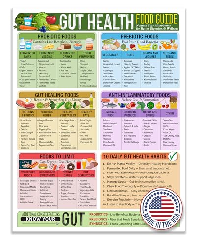 Gut Health Food Guide Magnet 8.5x11 Probiotic and Prebiotic Foods Chart Digestive Health Reference Laminated Refrigerator Magnet Kitchen Nutrition Guide Healthy Eating Chart