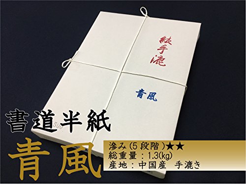 Amazon | 天義堂 書道半紙 清書 練習「滲まず、書きやすい」 500枚入り