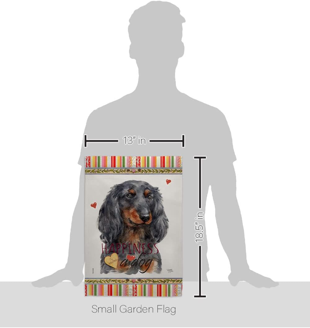 Breeze Decor Blue Long Hair Dachshund Happiness Garden Flag-Set with Stand Dog Puppy Spoiled Paw Canine Fur Pet Nature Farm Animal Creature House Banner Small Yard Gift Double-Sided, Made in USA