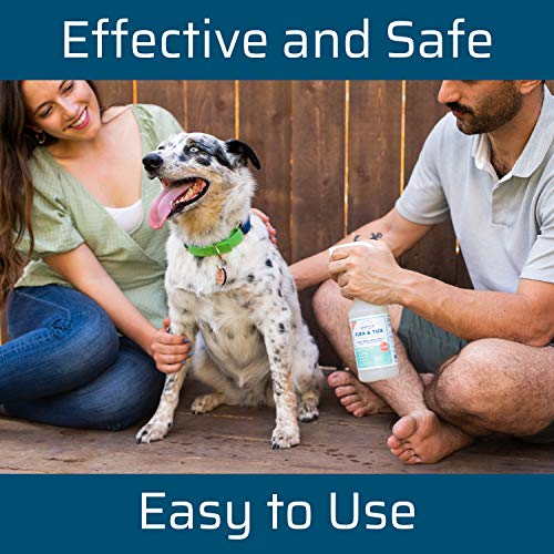 Wondercide - Flea, Tick & Mosquito Spray for Dogs, Cats, and Home - Flea and Tick Killer, Control, Prevention, Treatment… - Image 2