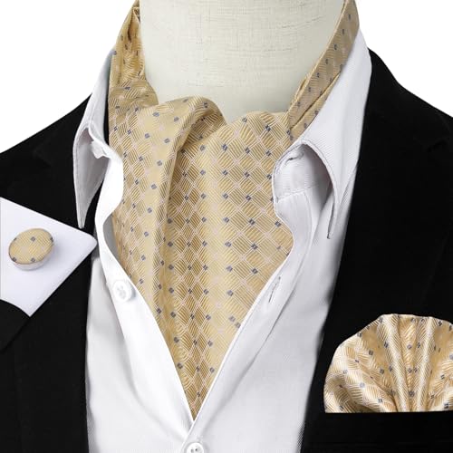 Image of DiBanGu Mens Silk Ascot Ties Paisley Jacquard Woven Cravat and Pocket Square Cufflinks with Lapel Pin for Business Wedding