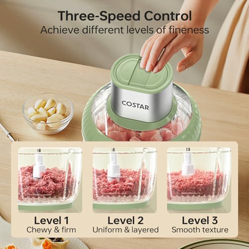 Image of COSTAR 400 Watts Electric Chopper for Kitchen Use, Vegetable Chopper with 2.5L & 0.8L Glass Bowls, Dual Blades Combo for Vegetables, Meat, Onion, Spices, Advanced Safe Technology