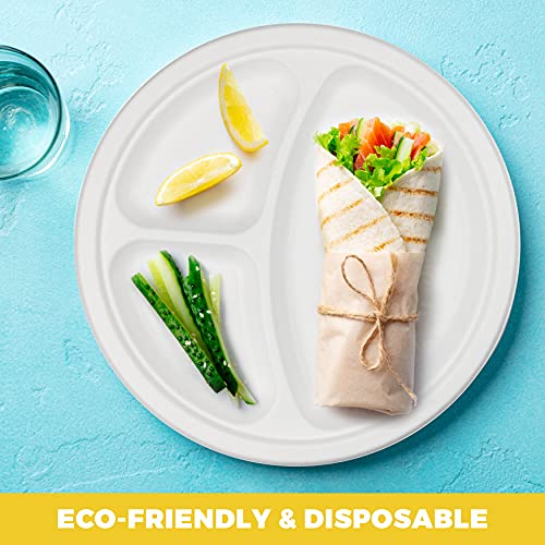 Nyhi Heavy Duty Compartment Plates | 10 Inch Disposable 3 Compartment Divided Plates For Adults & Kids | White Eco Friendly Sugarcane Paper Plates Are Cut & Leak Resistant | 125 Pack (3 Compartment) #TOP2