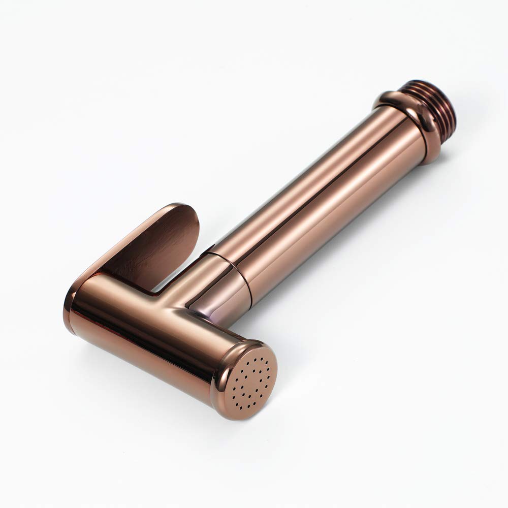 Spruzzatore portatile per bidet per WC, set doccia portatile con attacco a parete fredda per l'igiene personale, materiale in ottone