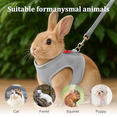 Image of Rabbit Harness and Leash Set with Cute Bow, Soft Mesh Vest Harness for Rabbits, Adjustable Bunny Vest Harnes, for Rabbits Walks Accessories(Grey)