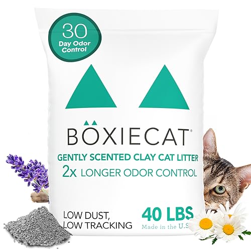 Boxiecat Gently Scented Premium Clumping Clay Cat Litter, 40-Poun...