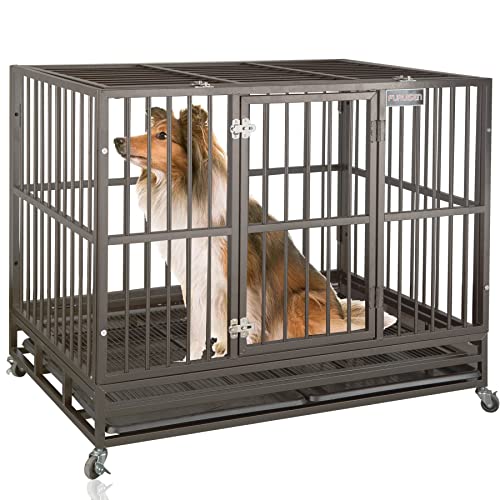 Unlock the Best Deals Top 10 Voyager Double Door Dog Crate 42 Inch for