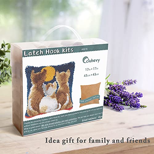 Image of clubevy Latch Hook Kits DIY Crocheting Embroidery Throw Pillow Needlework Cross Stitch Kits (Cat1)