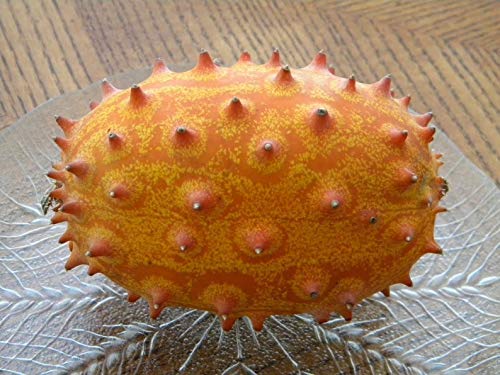 VietFA 7 Kiwano Melon SẸẸDS for Plạnting - Thumbnail 3