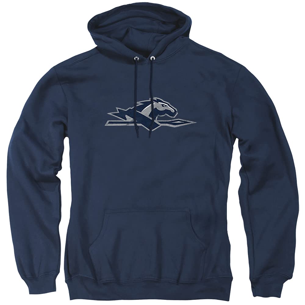 LOGOVISION Official Collegiate Distressed Primary Logo Adult Pullover Hoodie Collection — view 67