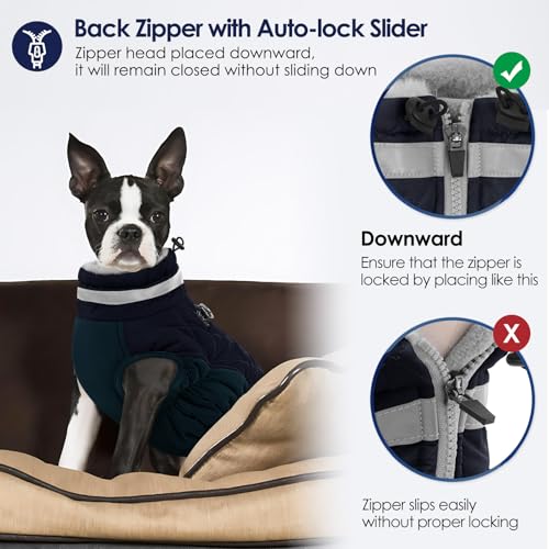 AOFITEE Hundejacke Kleine Hunde, Wasserdicht Hunde Wintermantel Warm Hundemantel mit Geschirr, Rollkragen Hunde Winterjacke Fleece Reflektierende Hundejacke Outdoor Hundebekleidung,S Blau