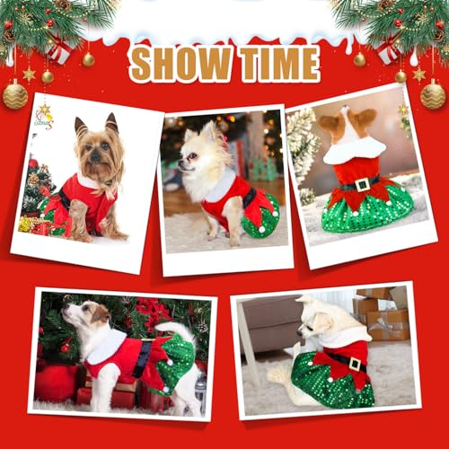 Disfraz Navidad para Perro Pequeño vestido Rojo Santa Claus miniatura 5