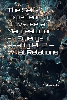 Paperback The Self-Experiencing Universe A Manifesto for an Emergent Reality Pt. 2 — What Relations Do Book