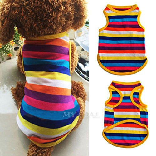 Ropa para perro, chaleco arcoíris, ropa para cachorros, camiseta, ropa bonita de verano suave con rayas, Medium