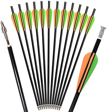 Archery Crossbow Bolts Fiberglass Arrows with Flat Nock Replaced Arrowheads for Outdoor Hunting 14 16 inch (Pack of 12)