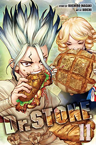 Dr. STONE, Vol. 11 (11) Dr. STONE, Vol. 11 (11)