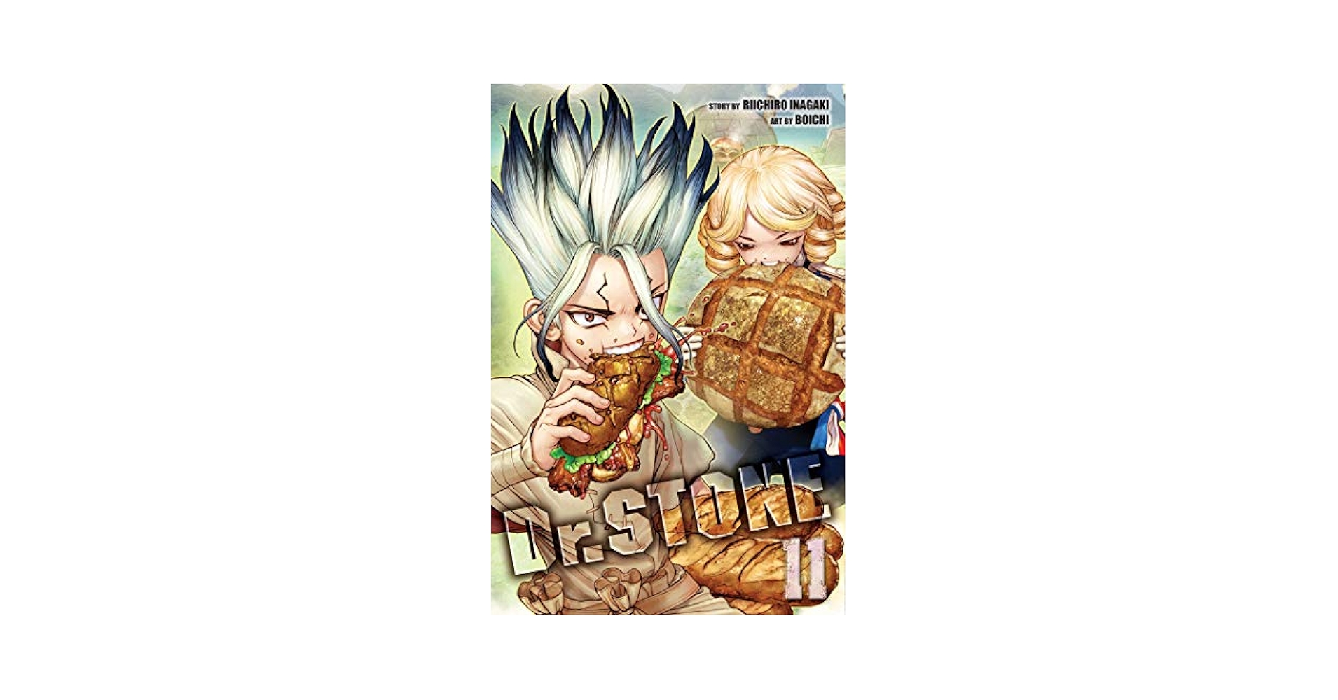 Amazon.com: Dr. STONE, Vol. 11: 9781974714797: Inagaki