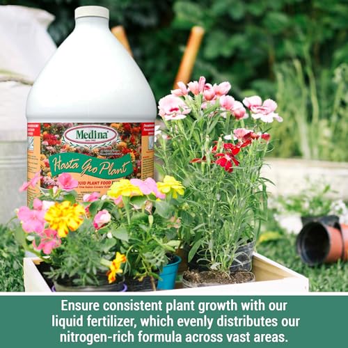 Fertilizante Líquido Medina HastaGro 6-12-6 1 Gal miniatura 3