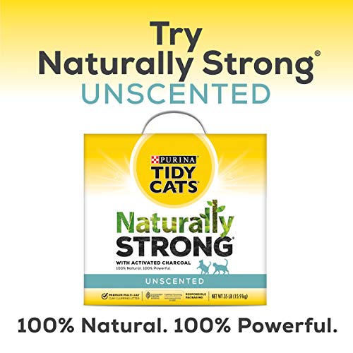 Best Clumping Cat Litter Reviews 2020 My Pet Likes It