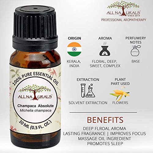 Image of All Naturals Champa Absolute Essential Oil (Kerala) 100% Pure, Deep Floral Exotic Aroma for Natural Perfumes, Massage Oils, Attars, DIY Skincare & Diffusers - 10 mL | n-Hexane Extracted, Alcohol-free