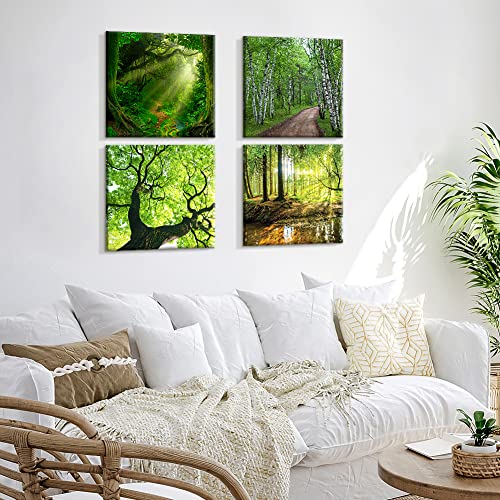 Soleebee 4 Teilig Premium Poster Set mit Hohe Qualität Rahmen, Kunstdruck Bilder Leinwandbilder Deko Home Deko für Schlafzimmer und Wohnzimmer 30 x 30 cm - Wald