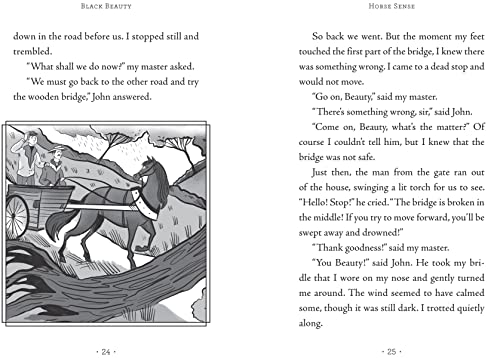 Classic Starts(r) Black Beauty