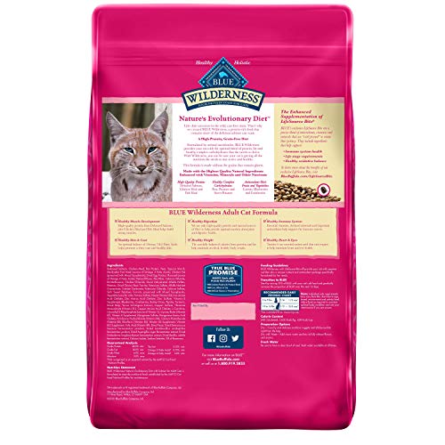 Blue-Buffalo-Wilderness-High-Protein-Natural-Adult-Dry-Cat-Food-Salmon-11-lb