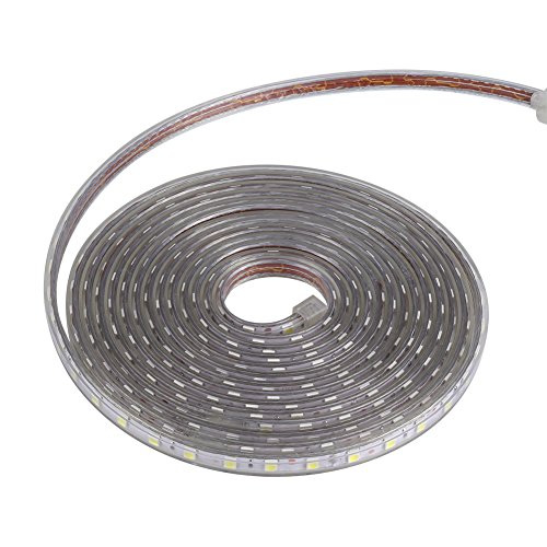 Striscia LED SMD 1M/5M/10M, impermeabile, SMD 5050, 220V, 60 LED/m, nastro flessibile, tubo luminoso (Cool White-5M+)