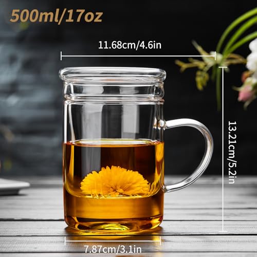 DOPUDO Glass Tea Cup with Infuser and Lid, 17.6oz/520ml Large Borosilicate Teacup, Clear Mug for Loose Leaf Blooming Tea, Birthday Gift for Women and Men