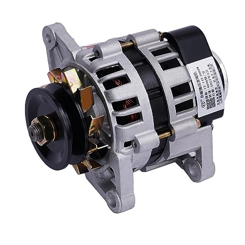 Generador AG sin escobillas de 2000 W, generador de CC de imán permanente agrícola, motor sin escobillas de 12 V/24 V, adecuado para motores diésel de un solo cilindro de automóviles y vehículos agríc