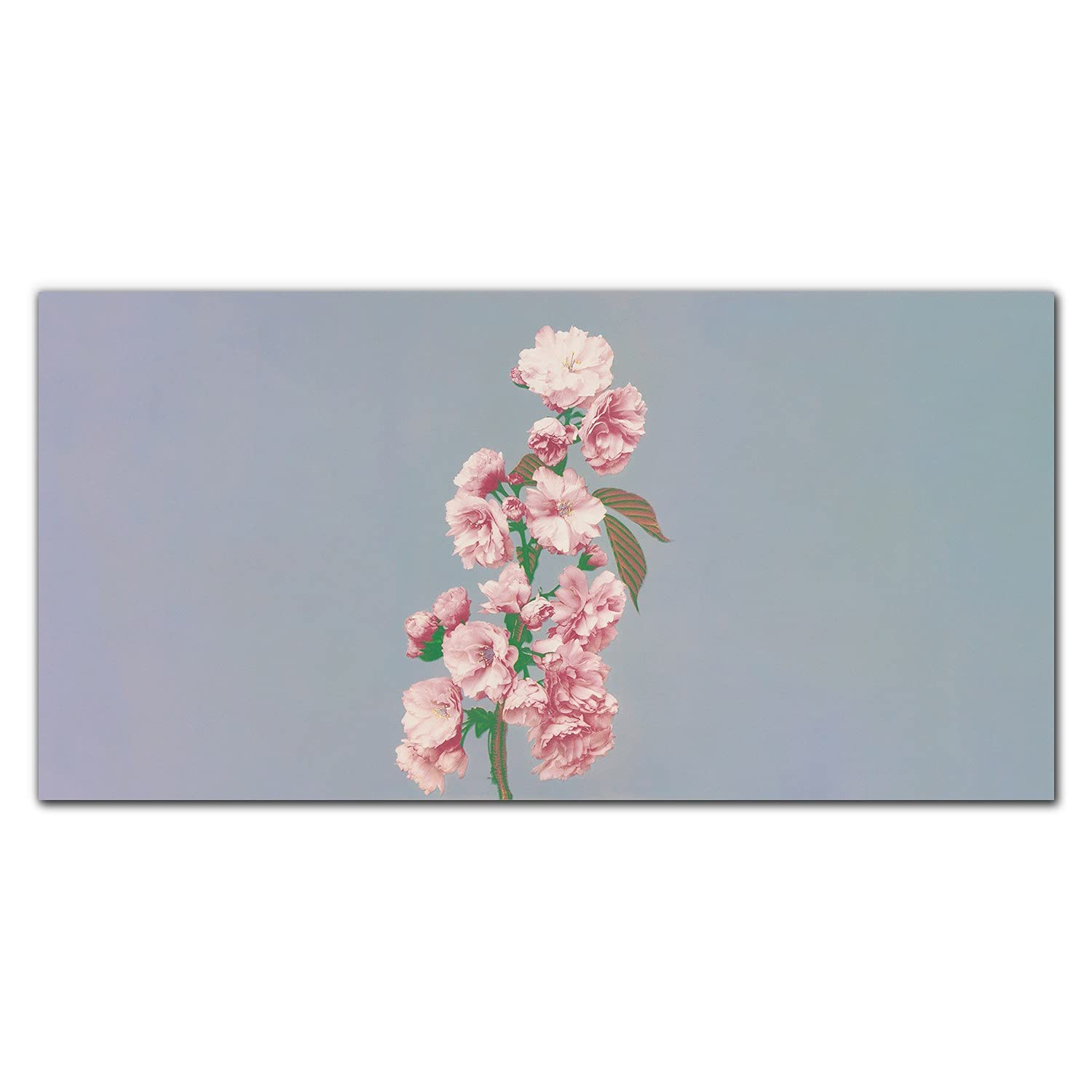 Crédence de cuisine en verre trempé 100x50cm adhésive pour protection murale Fleurs de Plantes