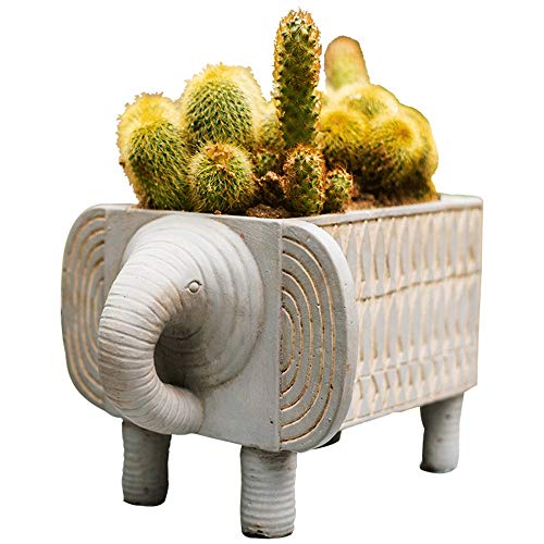 Ganeep Elefant-Form Blumentopf Zement Blumentopf Kaktus Pflanzen Topf einfache Art und Weise Saftige Topf Folk-Custom-Art Kreative Speicher Home Innen Außen Balkon Dekoration (Größe : S)