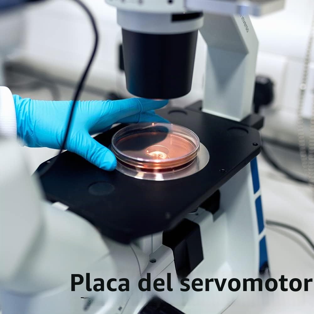 C3 10421 - Lote de 20 caldos de cultivo de champiñones agar según Kimmig