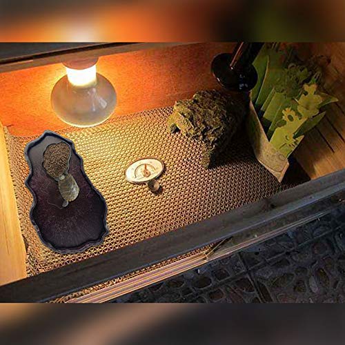 Tfwadmx-Reptile-Food-and-Water-Bowl-Set-Luminous-Bearded-Dragon-Dishes-Tortoise-Feeder-Lizard-Habitat-Large-and-Small-Amphibian-Feeding-Plates-Terrarium-DeCor-for-Turtle-Gecko-Snake-Tegu-Iguana-2-Pcs