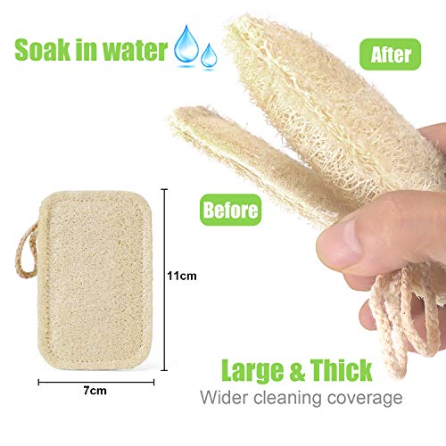 Image of Natural Loofah Kitchen Sponges, 20 PCS Natural Sponge for Dishes, Cleaning, 100% Biodegradable Compostable Vegetable, Eco Friendly Sponges, Non-Scratch, No Odor Scrubber