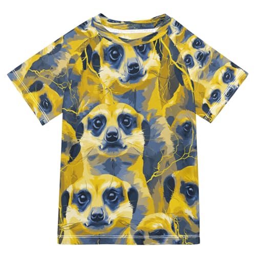 Boys Short Sleeve T-Shirts Lightning Ferret Meerkat Rashguard Kids Swim Shirts Sun UPF 50+