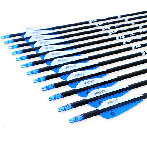 Image of TIGER ARCHERY 30 inch Carbon Arrows for Compound Recurve Bow Hunting Target