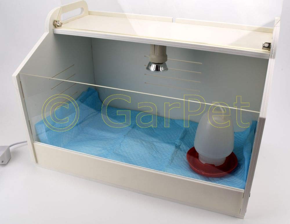 Küken Aufzucht Box 48x30x30 Cm – Mit Wärmelampe, Thermometer, Tränke & Futter, Für Küken, Reptilien & Kleintiere