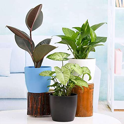 self watering plant pots indoor GAOMON 30" Tall Planter Set of 2,Heavy Duty Tall Planter,High Front Porch Planter Pots with Drainage Holes&Water Level Monitor&Inner Bucket, Automatic