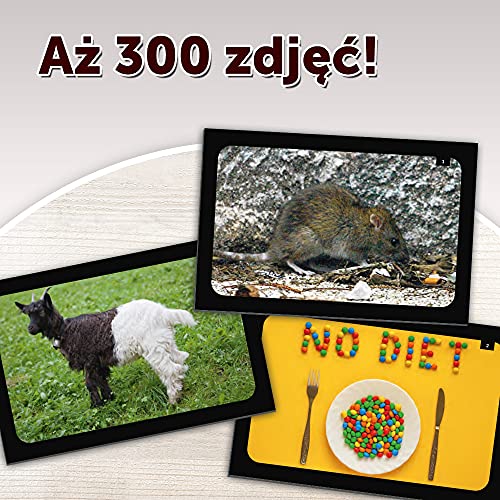 Trefl - Ego Pictures - Paddling Game, Family Game, 2-6 Players, Ages 14+, Multicoloured - Image 4