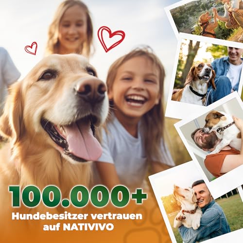 NATIVIVO K1 Relax Komplex Beruhigungsmittel für Hunde - Baldrian Hanföl & L Tryptophan Hund Beruhigung - Hunde Beruhigungsmittel unterstützend bei Angst & Stress - Beruhigung Hund - 60 Tabletten