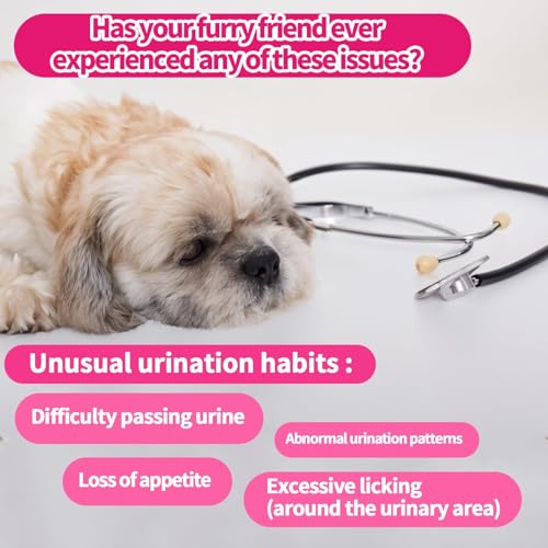 Image of Cranberry for Dogs, Dog Urinary Tract & Bladder Support + D-Mannose, 200ct