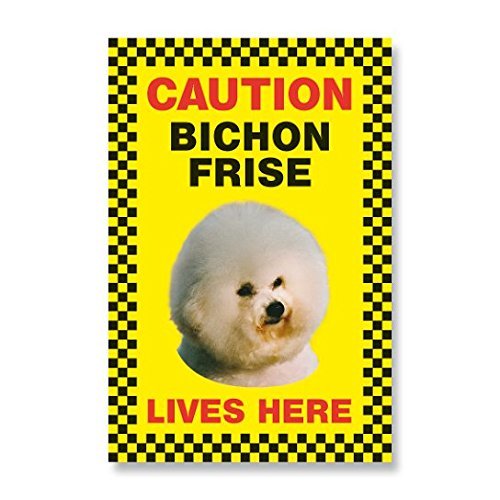 Caution Bichon Frise lives here beware of dog sign yellow priplak plastic