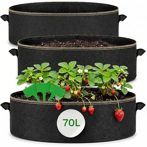 Praknu Bolsa de Cultivo para Plantas 70L - 3 Macetas de Tela Grandes con Asas y 3 Etiquetas - 60cm ø y 25cm de Altura - Jardineras para Plantas, Flores, Fresas
