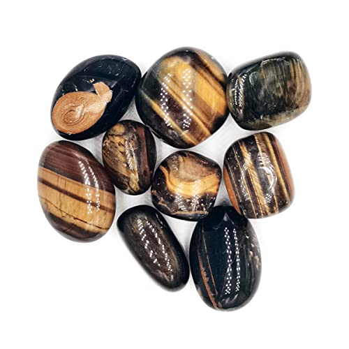 Image of Bulk Tiger Eyes Crystals, Natural Raw Stones, Tumble Stone, for Decoration, Education, Energy Balancing, as Gifts, Rock Specimens, Desk Ornament
