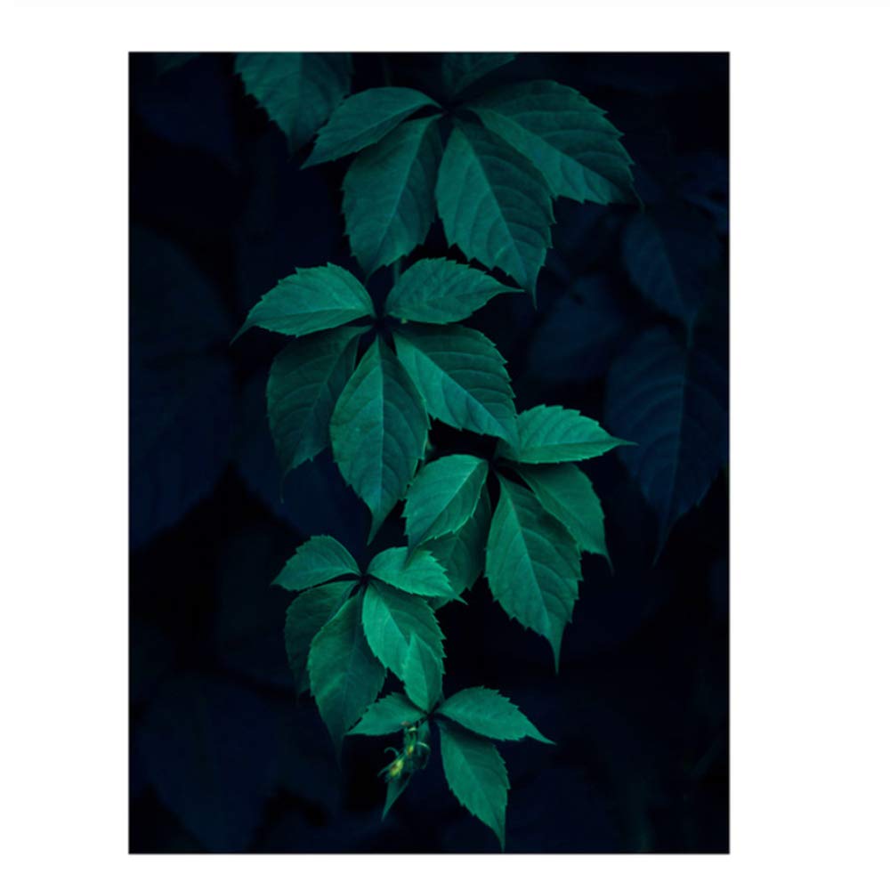 Pintura de la Lona Diosa Hoja Carteles Lámina de Pared Plantas Tropicales Cuadros de Pared para Sala Decoración del Marco del hogar 50x70cm (19.7 "x27.6) x2 con Marco